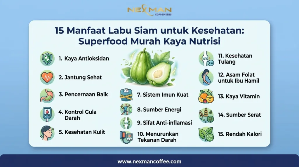 15 Manfaat Labu Siam untuk Kesehatan: Superfood Murah Kaya Nutrisi